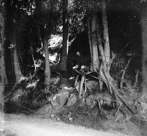 The historical photo that confirms the exact location of Vincent van Gogh's painting Tree Roots. The photo was discovered at the Pontoise Museum blog