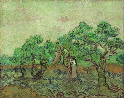 Vincent van Gogh, The Olive Orchard, 1889. The National Gallery of Art, Washington, Chester Dale Collection