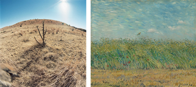 Compilatie van een werk van Jean-Luc Mylayne en Vincent van Gogh: Jean-Luc Mylayne (1946), '№ 446, november 2006 – januari 2007', c-print, collectie Mylène en Jean-Luc Mylayne. Vincent van Gogh, 'Korenveld met patrijs'