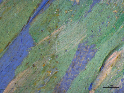 Detail van Olijfgaard onder de microscoop. Op de linkerhelft is de vernis nog aanwezig, op de rechterhelft is deze verwijderd