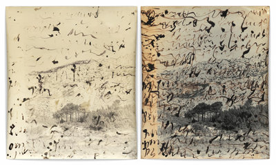 Jeff Cowen, P29, diptiek, 2020-2023, gelatinezilverdruk, © Jeff Cowen