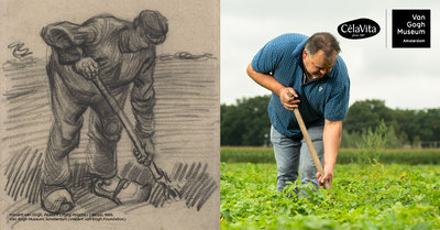 Tekening en foto van een man die aardappels rooit 