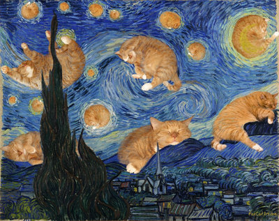De meest gelikte post op de Van Gogh Museum Instagram: De sterrennacht met katten 