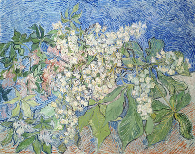 Vincent van Gogh, Blossoming Chestnut Branches, 1890, Emil Bührle Collection, on long term loan to Kunsthaus Zurich  