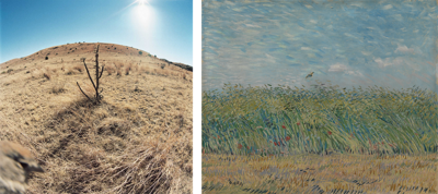 Compilatie van een werk van Jean-Luc Mylayne en Vincent van Gogh: Jean-Luc Mylayne (1946), '№ 446, november 2006 – januari 2007', c-print, collectie Mylène en Jean-Luc Mylayne. Vincent van Gogh, 'Korenveld met patrijs'