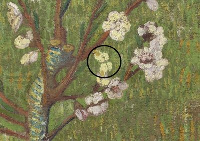 Orange-tip (butterfly) in Peach Tree in Blossom by Vincent van Gogh