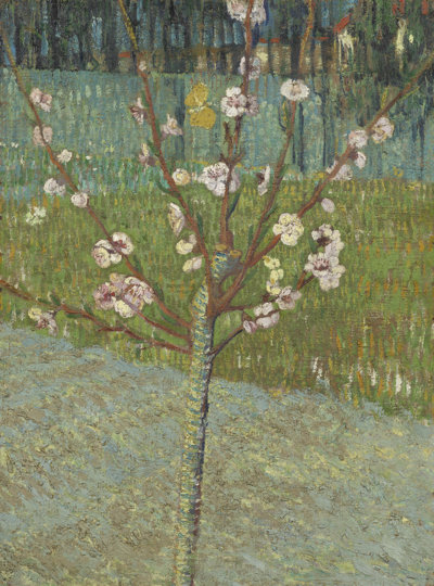 Bloeiende perzikboom na restauratie voor Tentoonstelling Van Gogh en Japan