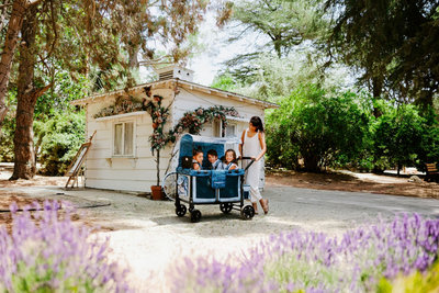 Stroller wagon Almond Blossom from the WonderFold x Van Gogh Museum collection.