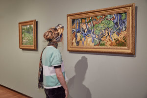 A woman is looking at Vincent van Gogh's painting Tree Roots in the museum. Photo: Maaike Koning
