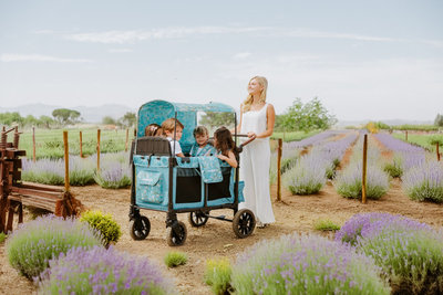 Stroller wagon Almond Blossom from the WonderFold x Van Gogh Museum collection.