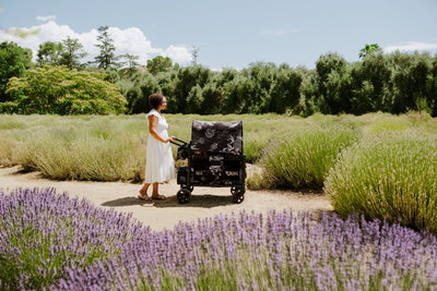 Stroller wagon from the WonderFold x Van Gogh Museum collection