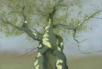 Christiaan Kuitwaard, Amerongse Bos, de holle beuk, 2021, olieverf op paneel, 20 x 29 cm, particuliere collectie