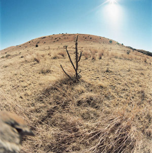 Fotografisch werk van Jean-Luc Mylayne, № 446, november 2006 – januari 2007