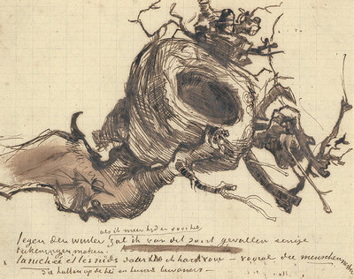Bird’s nest, letter sketch, 4 October 1885