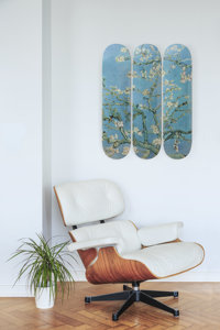 he Skateroom x Van Gogh Museum® Triptiek, Amandelbloesem Set van 3 skateboards • Elk deck heeft een afmeting van 81 x 20,5 cm • Inclusief ophangsysteem en uitgebreide instructie.