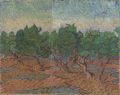 Het schilderij Olijfgaard van Vincent van Gogh tijdens de vernisafname: Het vernis is verwijderd aan de rechterkant van de voorstelling, in de lucht, de partij van de bomen en in de voorgrond (rechts van de witte stippellijn)
