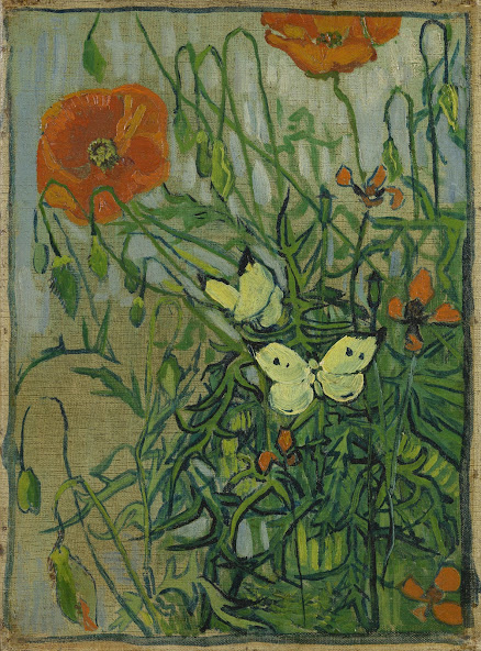 Résultat de recherche d'images pour "van gogh museum, butterflies and poppies"