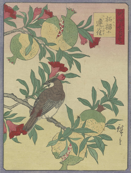 Utagawa Hiroshige III - 新撰花鳥尽 柘榴に連尺 - Van Gogh Museum