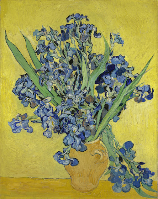Afbeeldingsresultaat voor irissen van gogh